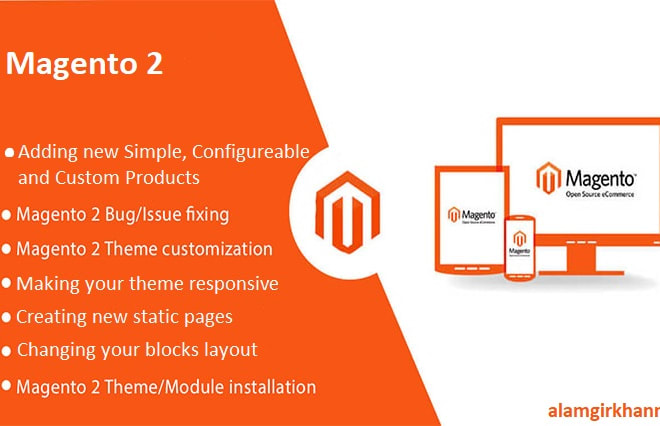I will do magento 2 website design and customization