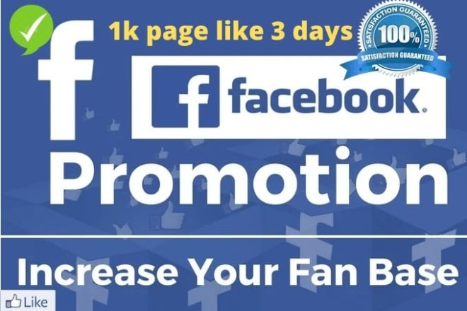 I will do organic promotion of your facebook page