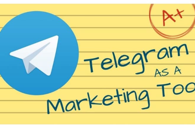 I will do organic telegram promotion, crypto forex marketing to get human traffic