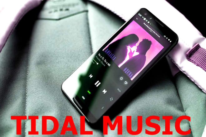 I will do organic tidal music promotion to the music industry