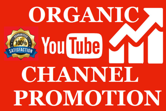 I will do organic youtube channel promotion and marketing