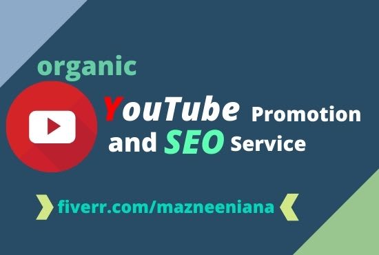 I will do organic youtube promotion and seo service by google ads