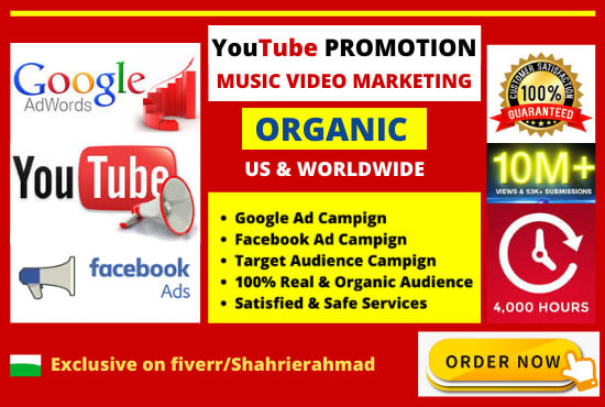 I will do organic youtube promotion and viral video marketing