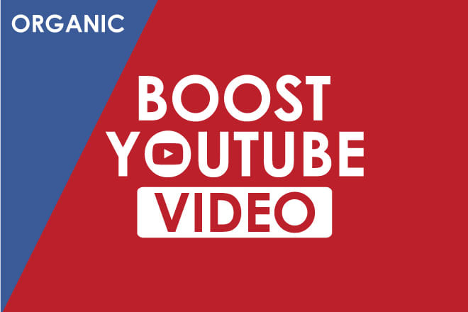 I will do organic youtube promotion of your video