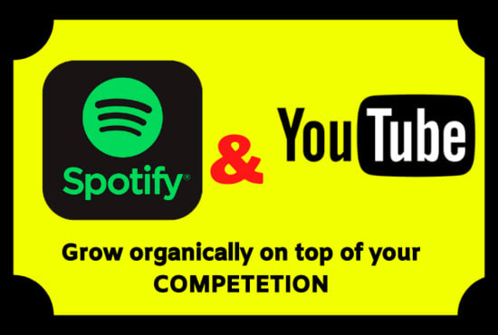 I will do organic youtube promotion or spotify music promotion