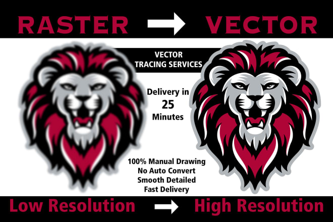 I will do professional vector tracing illustration redraw logo in 24hrs