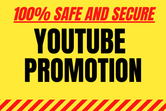 I will do professional youtube promotion of your channel