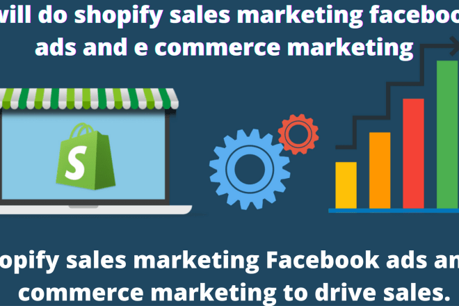 I will do shopify sales marketing facebook ads and e commerce marketing