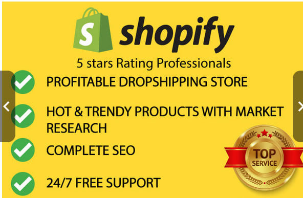 I will do shopify store promotion, shopify marketing, seo, to get more shopify traffic