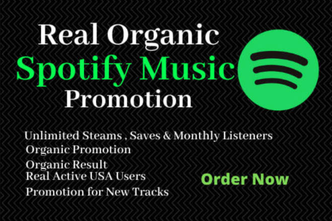 I will do spotify music promotion and submit to top playlist curators