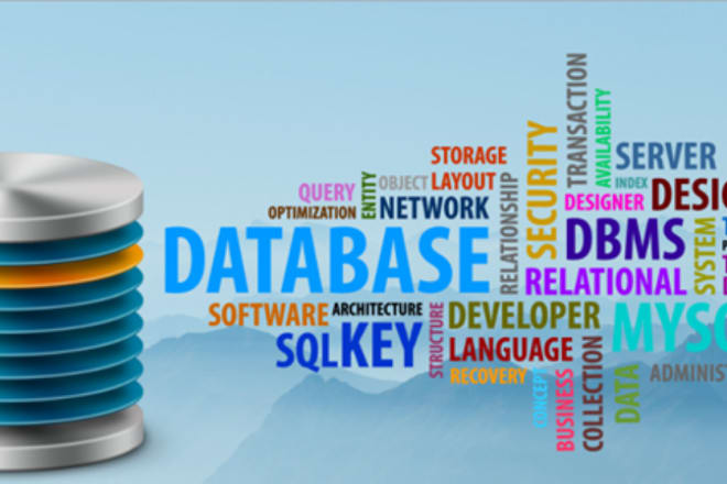 I will do sql database queries, er and eer diagram, and sql script