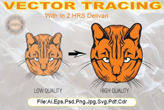 I will do vector tracing, raster to vector vectorize image to vector manually tracing