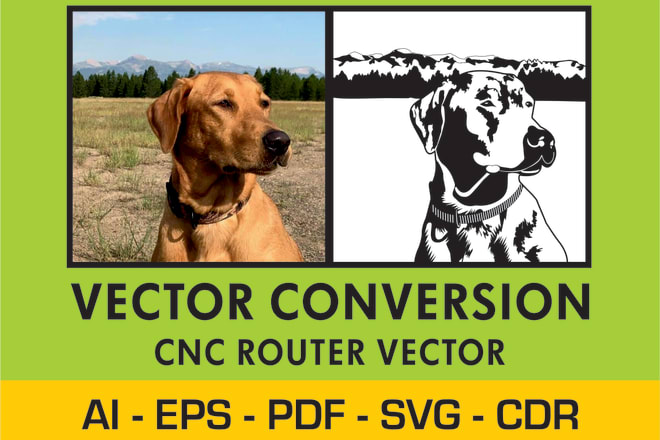 I will do vector tracing, vector conversion convert image in svg, ai, pdf, eps, cdr