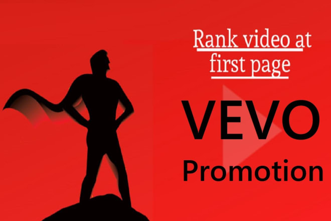 I will do vevo music video promotion and video marketing