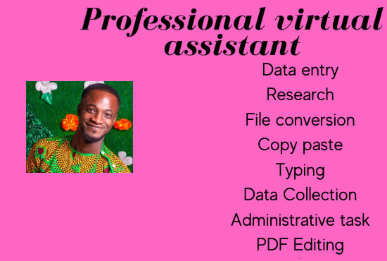 I will do virtual assistance for web research and data entry