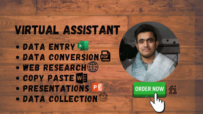 I will do virtual assistant job of excel mining, data entry, copy paste