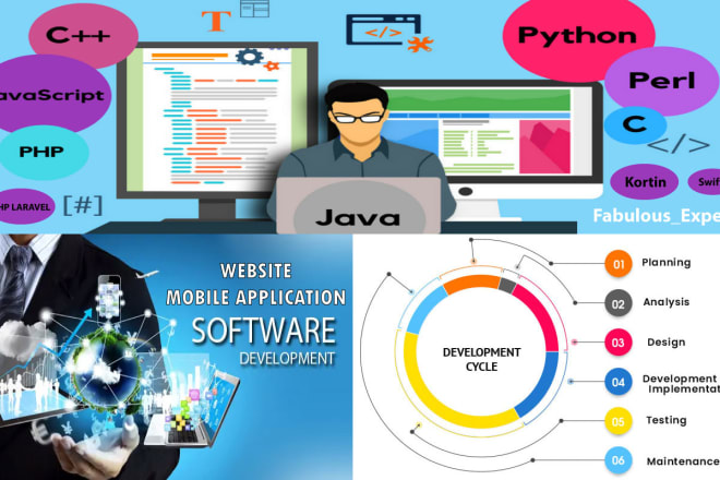 I will do web based software website and mobile application