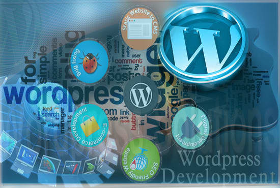 I will do wordpress customization and fix errors or widget