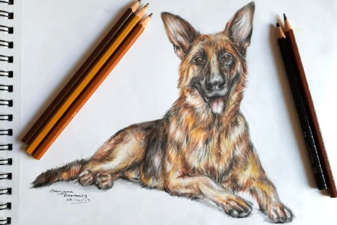 I will draw a realistic portrait of your pet or any animal you like