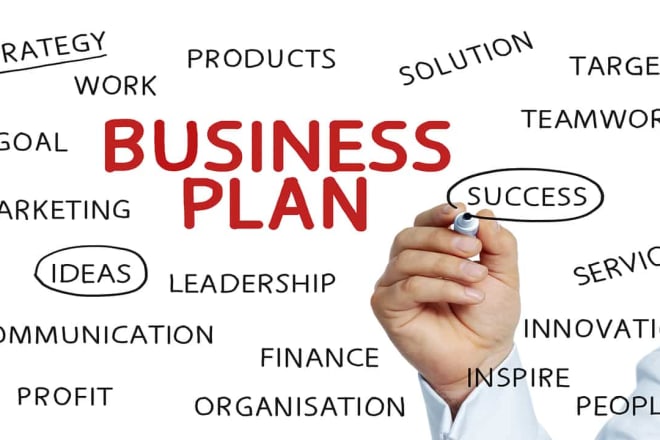 I will draw up a professional business plan, business strategy, project plans