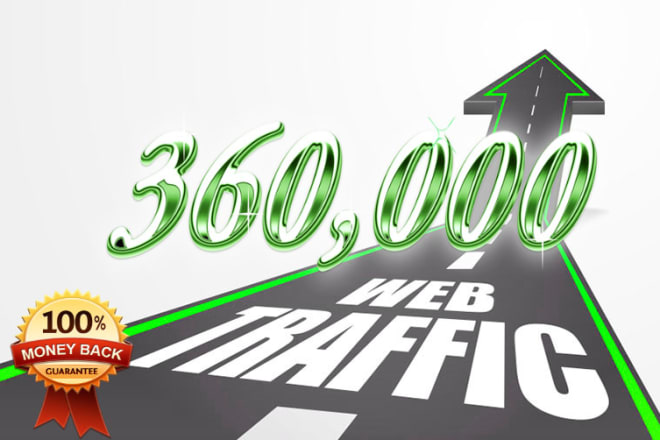 I will drive 300,000 visitors to your website