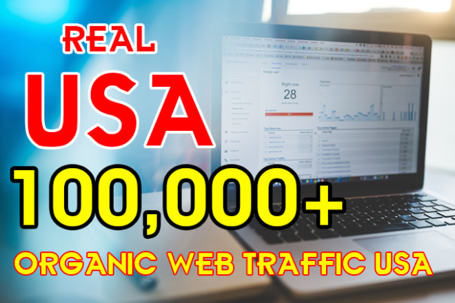 I will drive keyword targeted organic USA web traffic up to 100k