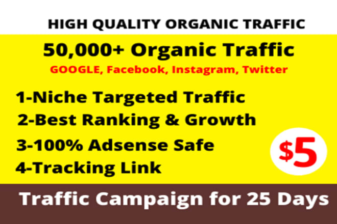 I will drive niche related targeted traffic to your ebay, shopify, amazon stores