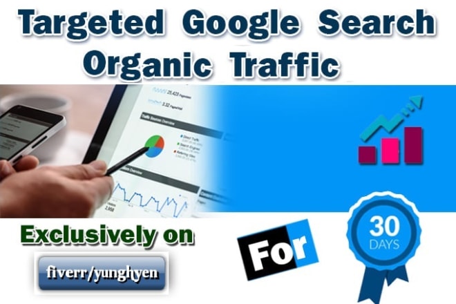 I will drive targeted google search organic traffic