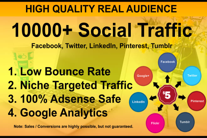 I will drive targeted web traffic from social media