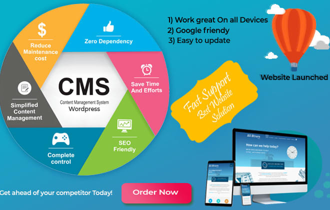 I will ecommerce website solutions in wordpress cms