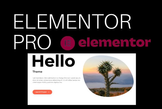 I will elementor pro custom theme custom post type, custom layout custom header footer