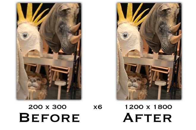I will enlarge and sharpen your images without losing quality