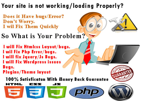 I will fix your websites and online software