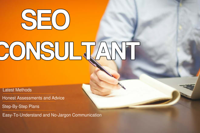 I will give expert SEO consultation and a monthly service