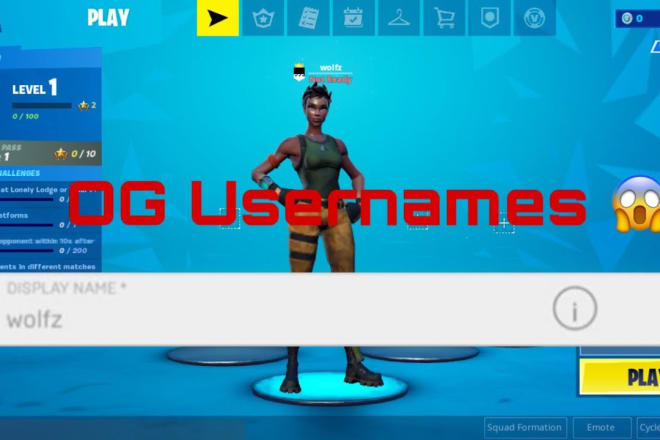 I will give you any fortnite username you want
