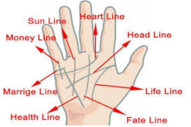 I will give you the most accurate and detail palm reading