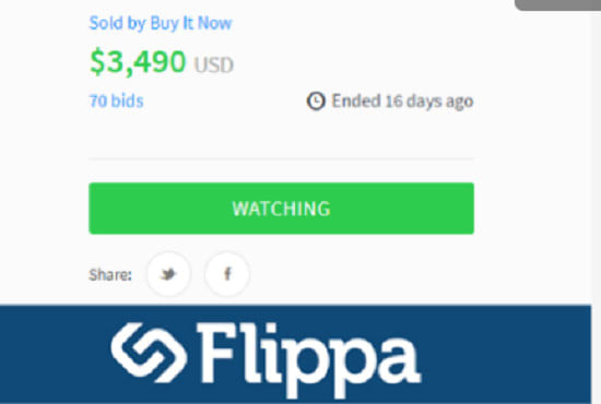 I will give your flippa auction support to get more active