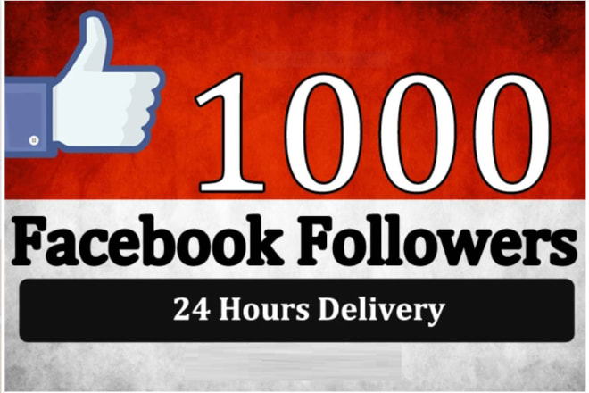 I will grow page likes and followers by ad campaign