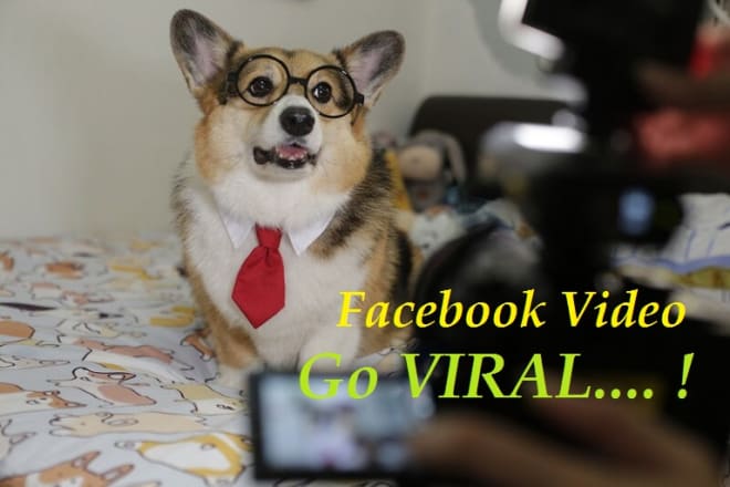 I will grow your facebook video to go viral