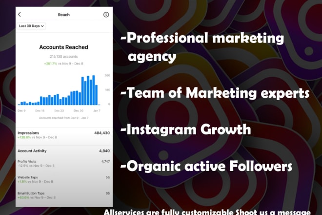 I will grow your instagram with my marketing team