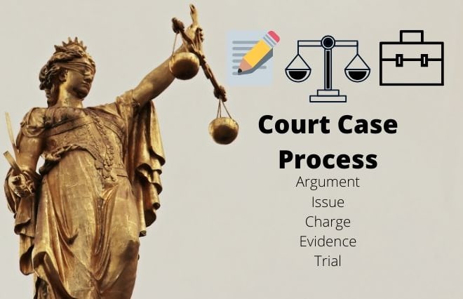 I will help in legal proceedings on court case transcripts
