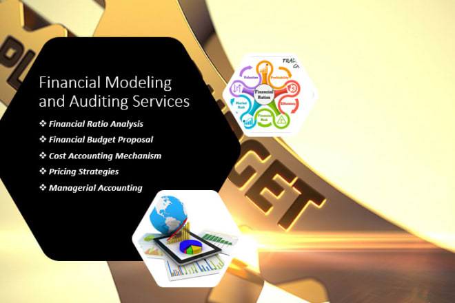 I will help you in financial ratio analysis and budgeting the projects