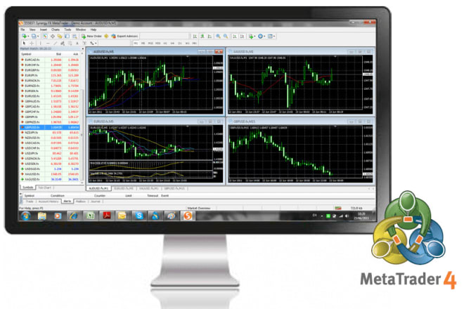 I will help you setup your own forex broker with website, CRM and mt4 or mt5