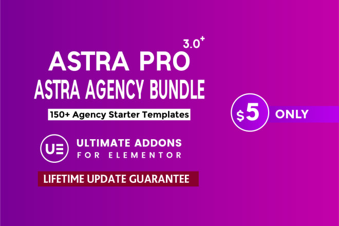 I will install astra agency bundle lifetime update, wordpress service