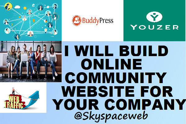 I will install buddypress premium theme and plugins on wordpress with full setup