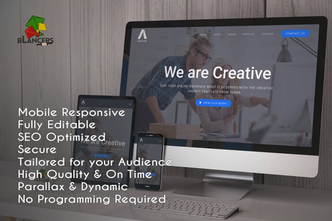 I will install, design, redesign, develop responsive wordpress website