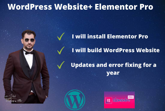 I will install elementor pro and build custom wordpress website
