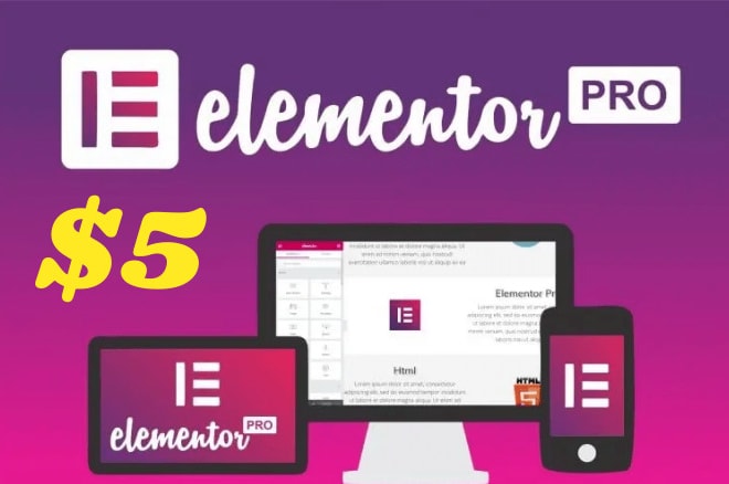 I will install elementor pro plugin in your website