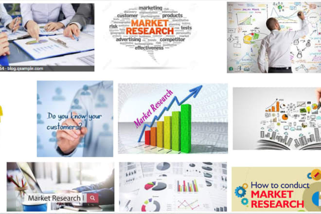 I will make marketing and business plans, and do marketing research