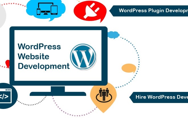 I will make professional wordpress website with customized plugins
